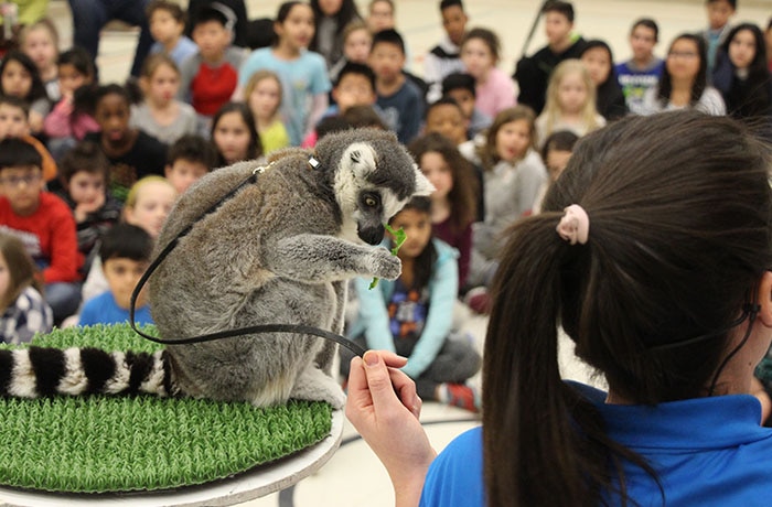 Image of Earth Rangers environment education presentation.